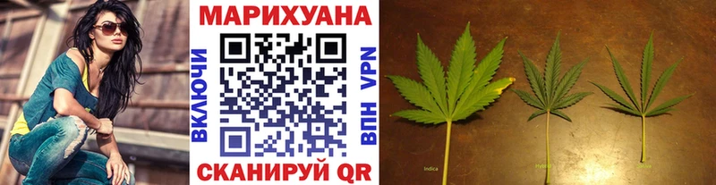 как найти закладки  Камызяк  Бошки марихуана ГИДРОПОН 